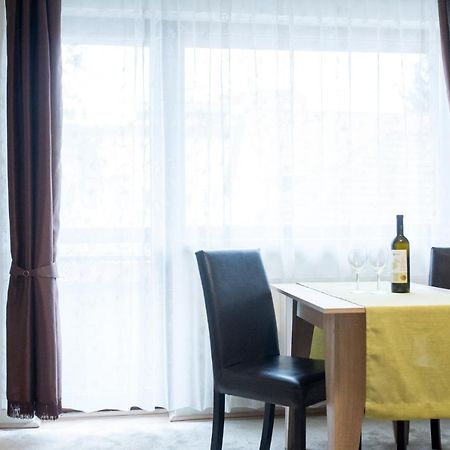 Vila Nicopole Art & Wine ブラショフ エクステリア 写真