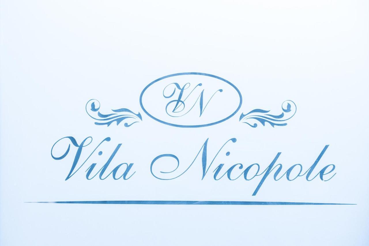 Vila Nicopole Art & Wine ブラショフ エクステリア 写真