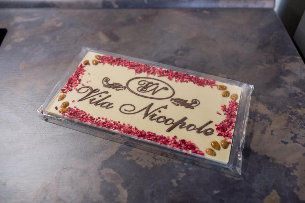 Vila Nicopole Art & Wine ブラショフ エクステリア 写真